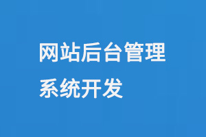 網站后臺管理系統開發